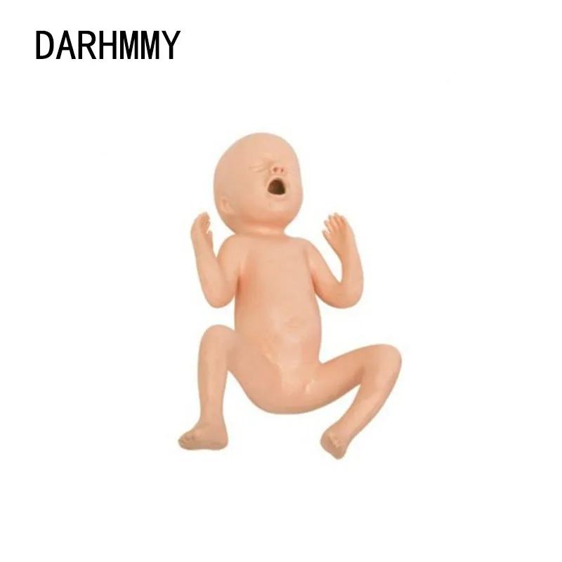 DARHMMY  , 24    Ų
